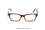 RAY-BAN-5345D-5797(53CN)