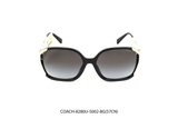 COACH-8280U-5002-8G(57CN)