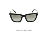COACH-8191F-5420-11(56CN)