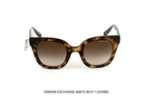 ARMANI EXCHANGE-4087S-8037-13(49BR)