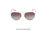 COACH-7053-9228-62(58CN)