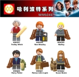 Minifigures Các Nhân Vật Trong Harry Potter Mới Nhất - WM6046