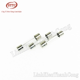 Cầu Chì Thủy Tinh 6A 250VAC 6x30mm