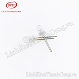 LED 5mm Trắng