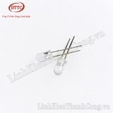 LED 5mm Trắng