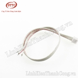 Cáp 4 Sợi - 30cm