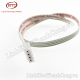Cáp 4 Sợi - 30cm