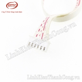 Cáp 6 Sợi - 30cm