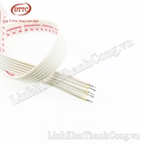 Cáp 6 Sợi - 30cm