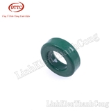 Lõi Xuyến 16x9x5mm