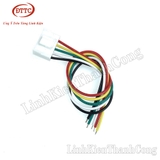 Cáp 5 Sợi VH3.96-5P 20cm Cái (20AWG)