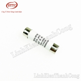 Cầu Chì Sứ 10x38mm 6A 500V