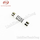 Cầu Chì Sứ 10x38mm 10A 500V