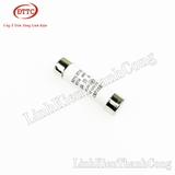 Cầu Chì Sứ 10x38mm 25A 500V