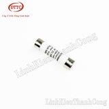 Cầu Chì Sứ 10x38mm 32A 500V