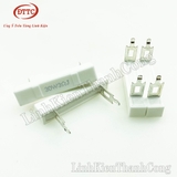 Điện Trở 3R 30W Chân Dẹt