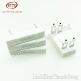 Điện Trở 3R 30W Chân Dẹt