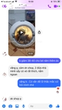 Feedback lồng sấy Papifeed