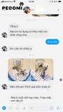 Feedback lồng sấy Papifeed