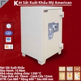 KÉT SẮT XUẤT KHẨU MỸ US880 VÂN TAY