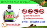 Dịch vụ Diệt Gián