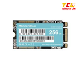 Ổ Cứng SSD 256GB mSATA  Memory Ghost