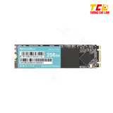 Ổ Cứng SSD 256GB M2 2280 Memory Ghost