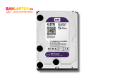 Ổ Cứng 4TB Western
