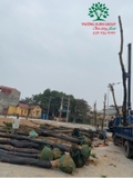 Thi công thực tế 76