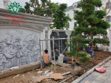 Núi non bộ 43
