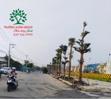 Thi công thực tế 84