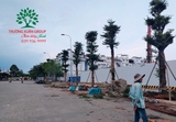 Thi công thực tế 84