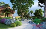 SÂN VƯỜN 50