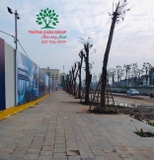 Thi công thực tế 84