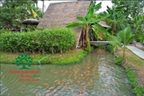 Hồ cá Koi 49