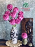 Hoa Sen