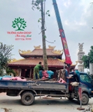 Thi công thực tế 84