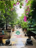 sân vườn 58