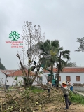Thi công thực tế Chùa Đào Thục
