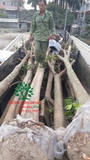 THÌ CÔNG THỰC TẾ 94