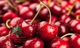 CÂY CHERRY