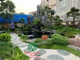 SÂN VƯỜN 43