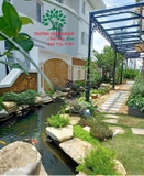 HỒ CÁ KOI 41