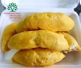 Cây Sầu Riêng