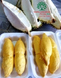 Cây Sầu Riêng