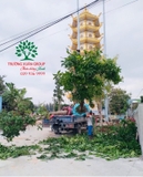 Thi công thực tế 84
