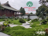SÂN VƯỜN 47
