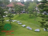 SÂN VƯỜN 39