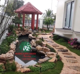 Hồ cá Koi 4