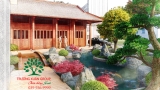 SÂN VƯỜN 50